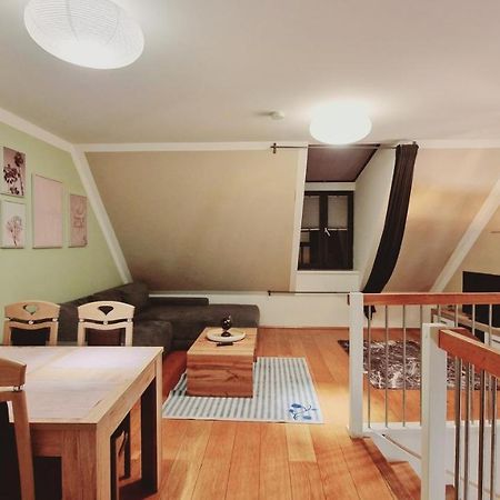 Elegance Apartment 维也纳 外观 照片